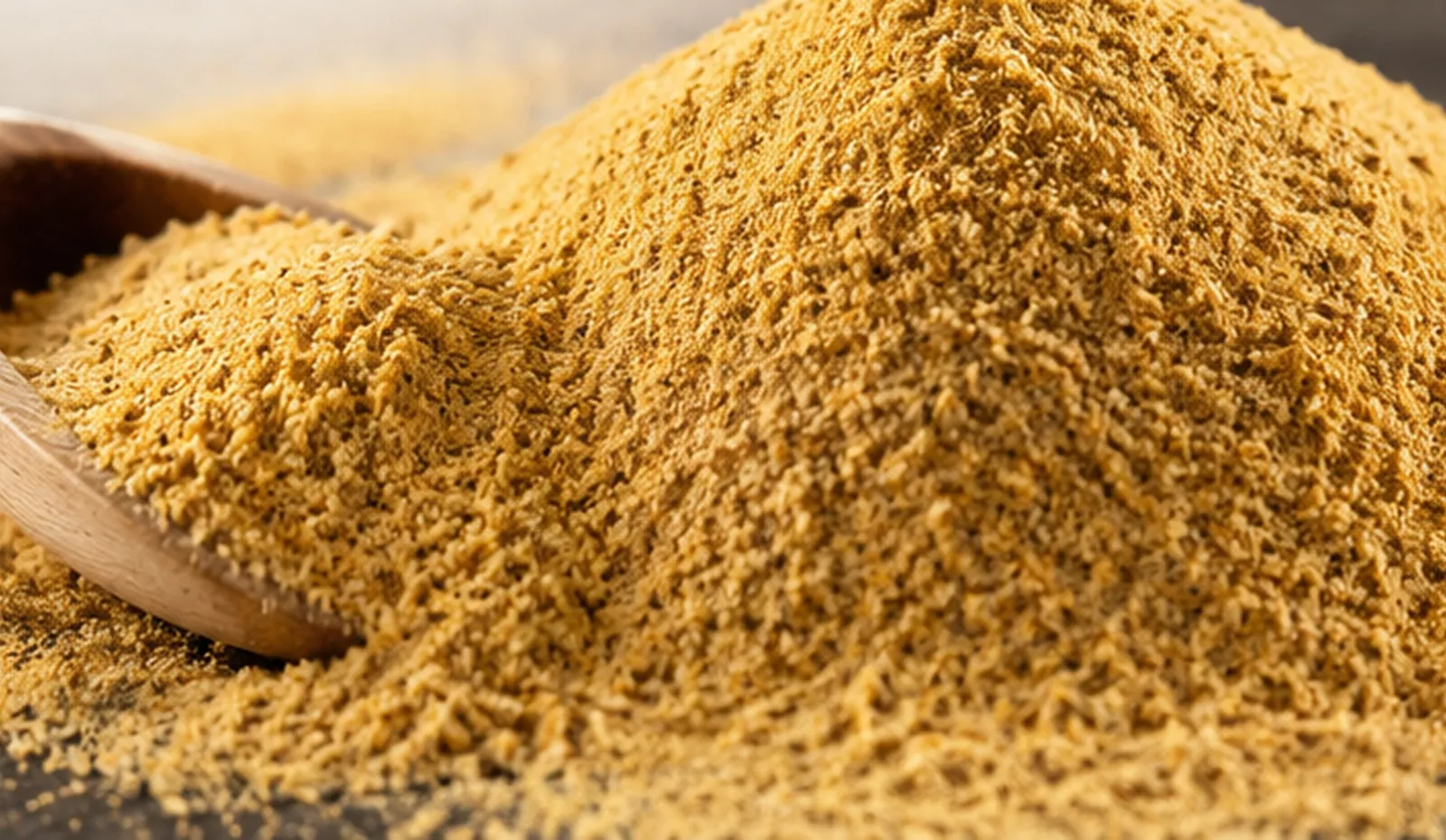 Plant-Based Protein & Co-products ingredient applications